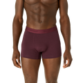 Burgundy Midnight Plum Stripe